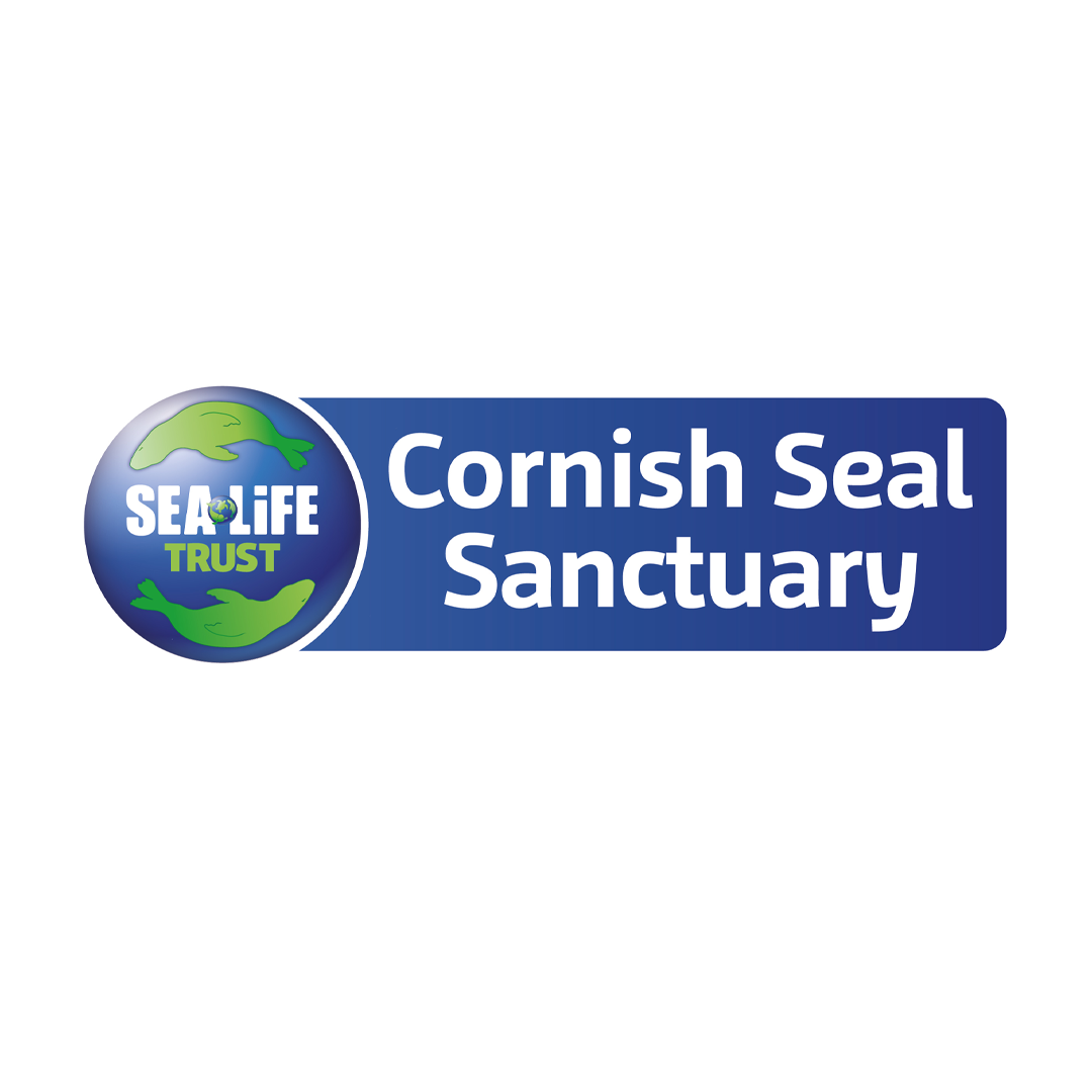 Cornish Seal Sanctuary Charity Bead