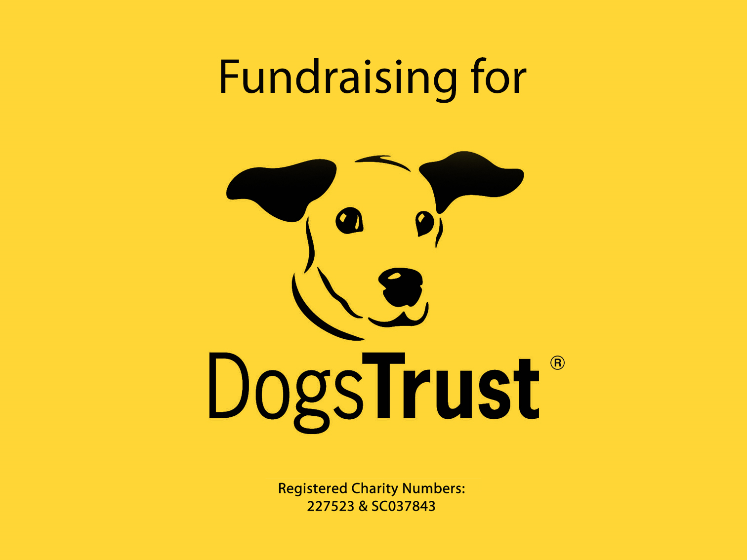 Fundraising for the Dogs Trust banner.