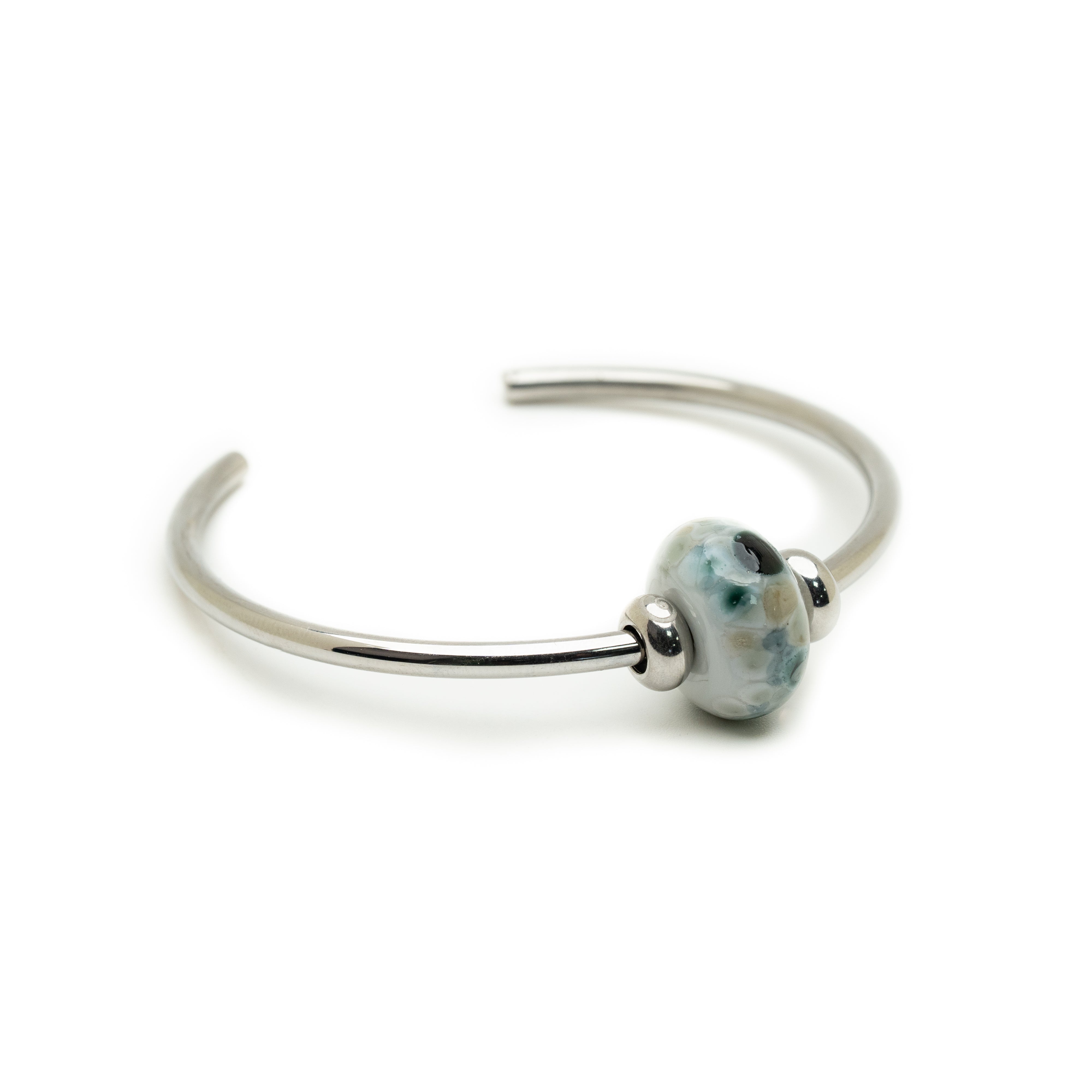 Seal sanctuary charity bead on silver bangle.
