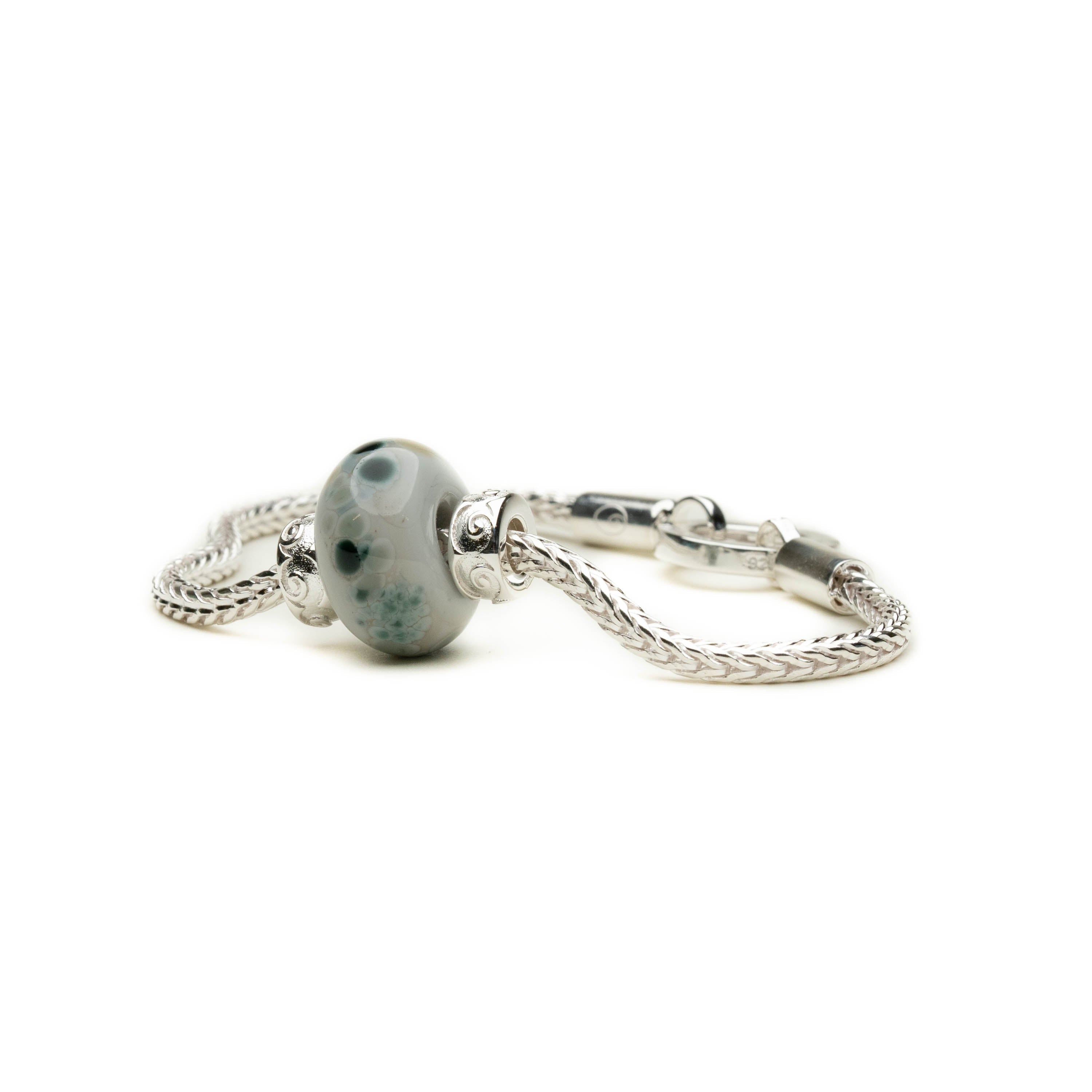 Seal sanctuary charity bead on silver bracelet.
