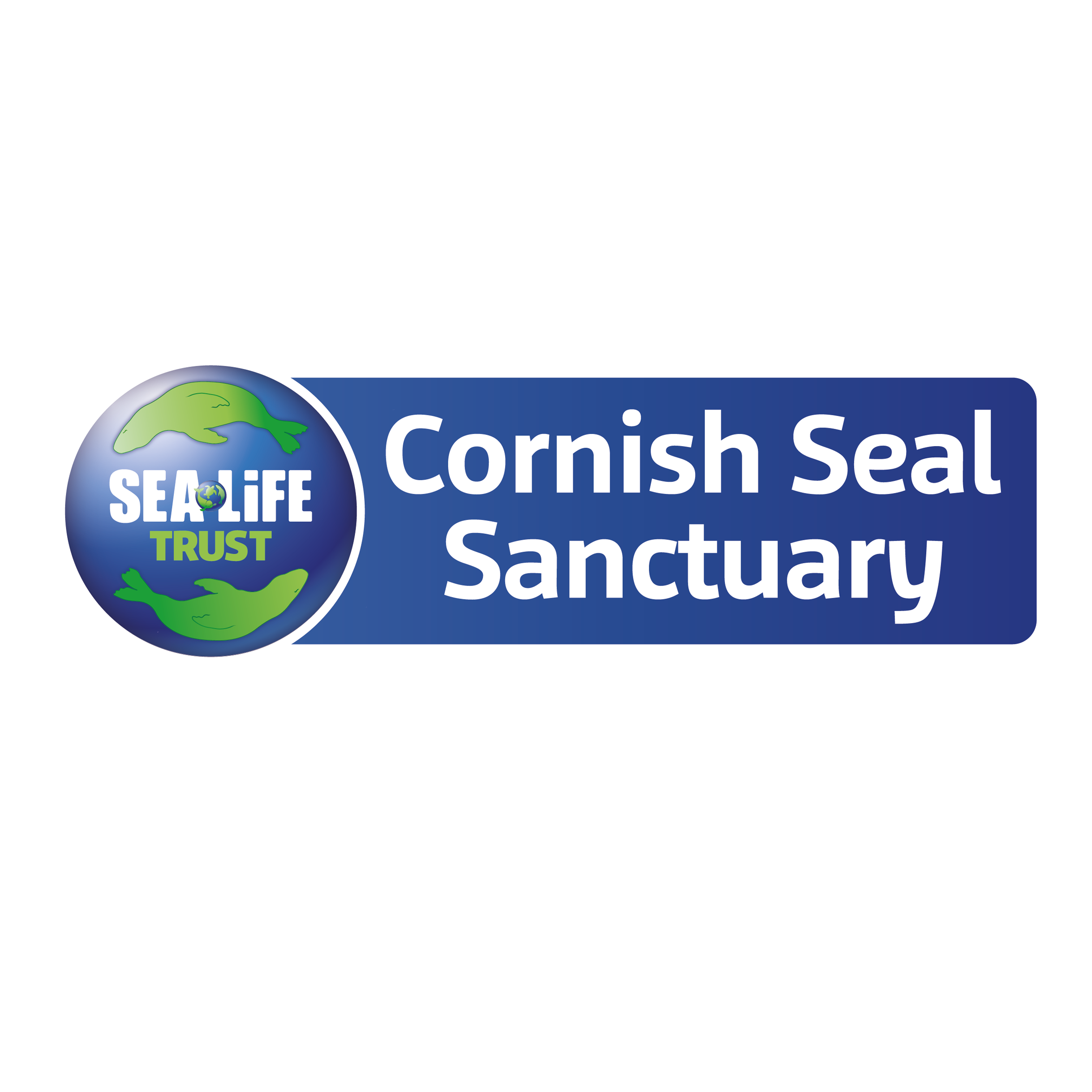 Cornish Seal Sanctuary Charity Pebble Necklace