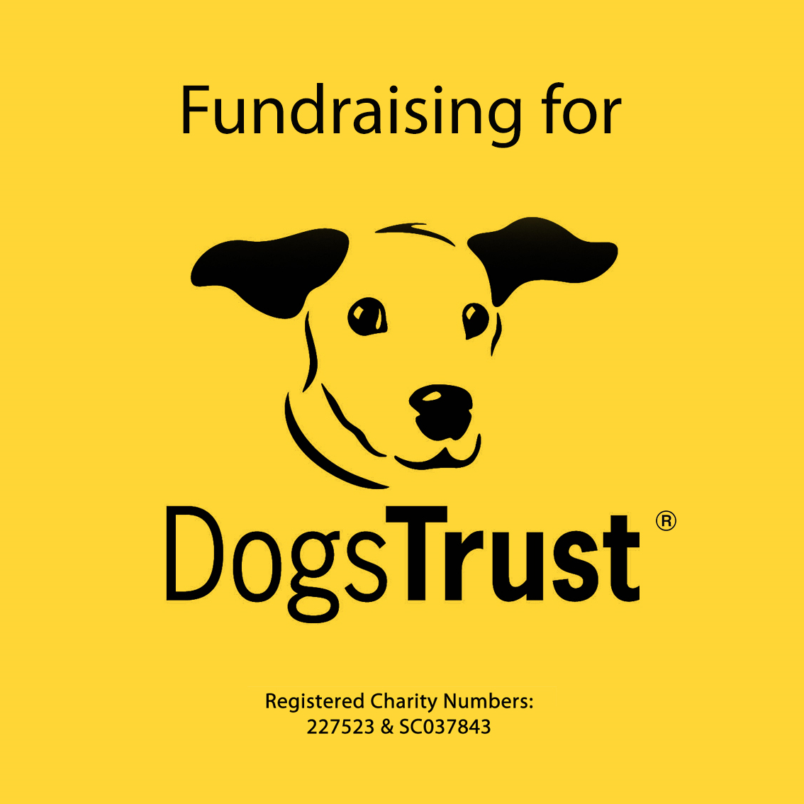 Fundraising for the Dogs Trust banner.