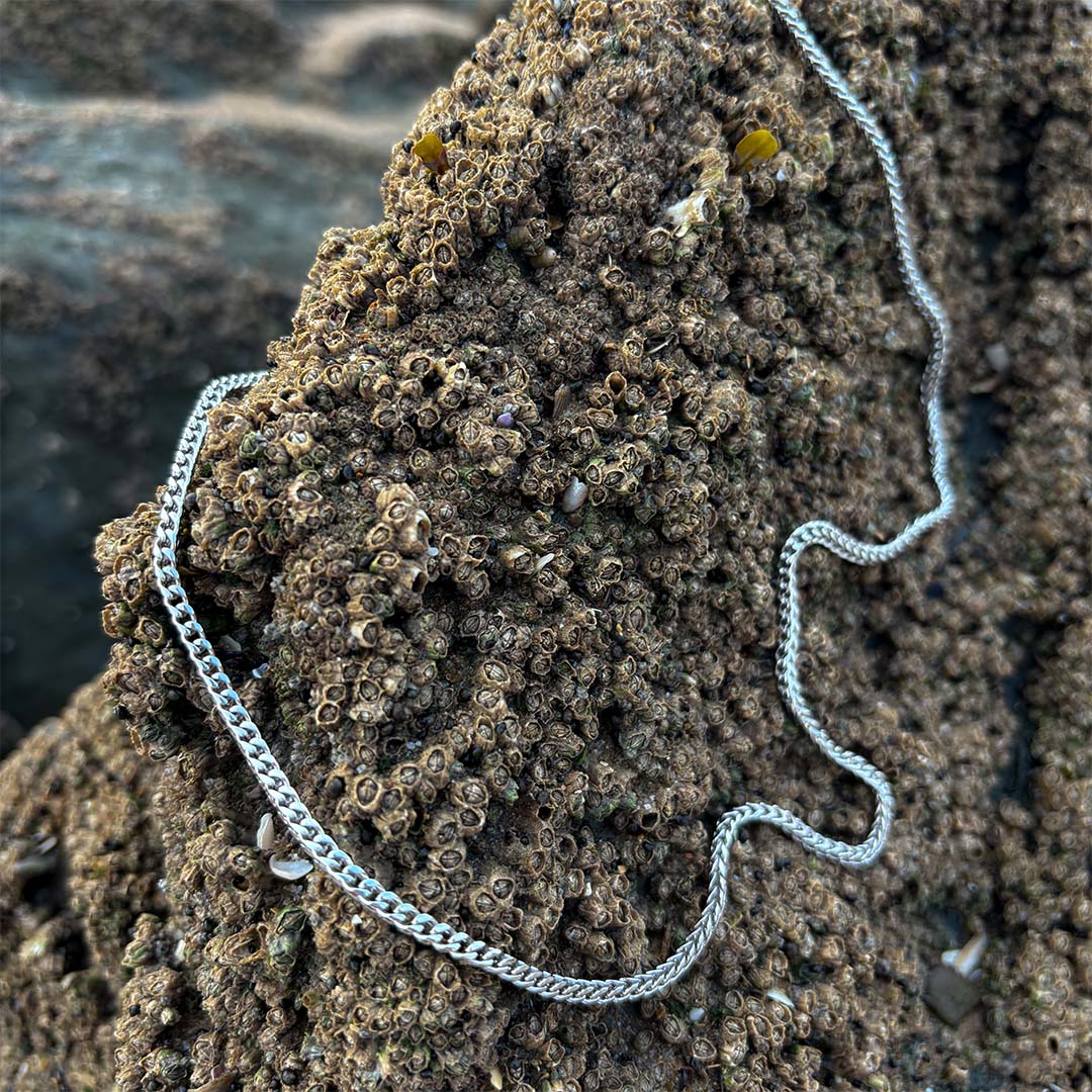 Silver Reef Chain Nalu necklace on the reef at the beach.