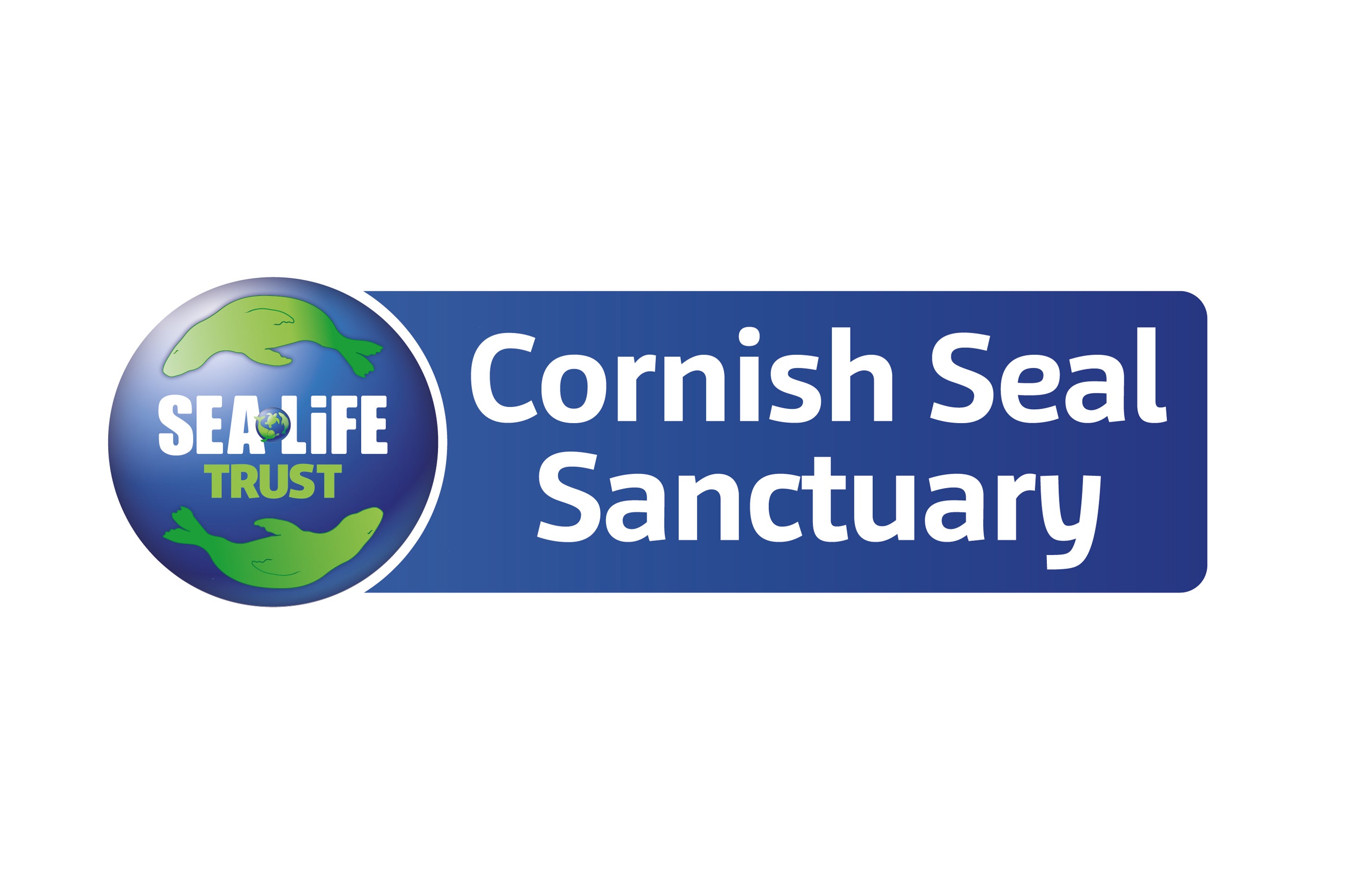 Cornish Seal Sanctuary Charity Bead
